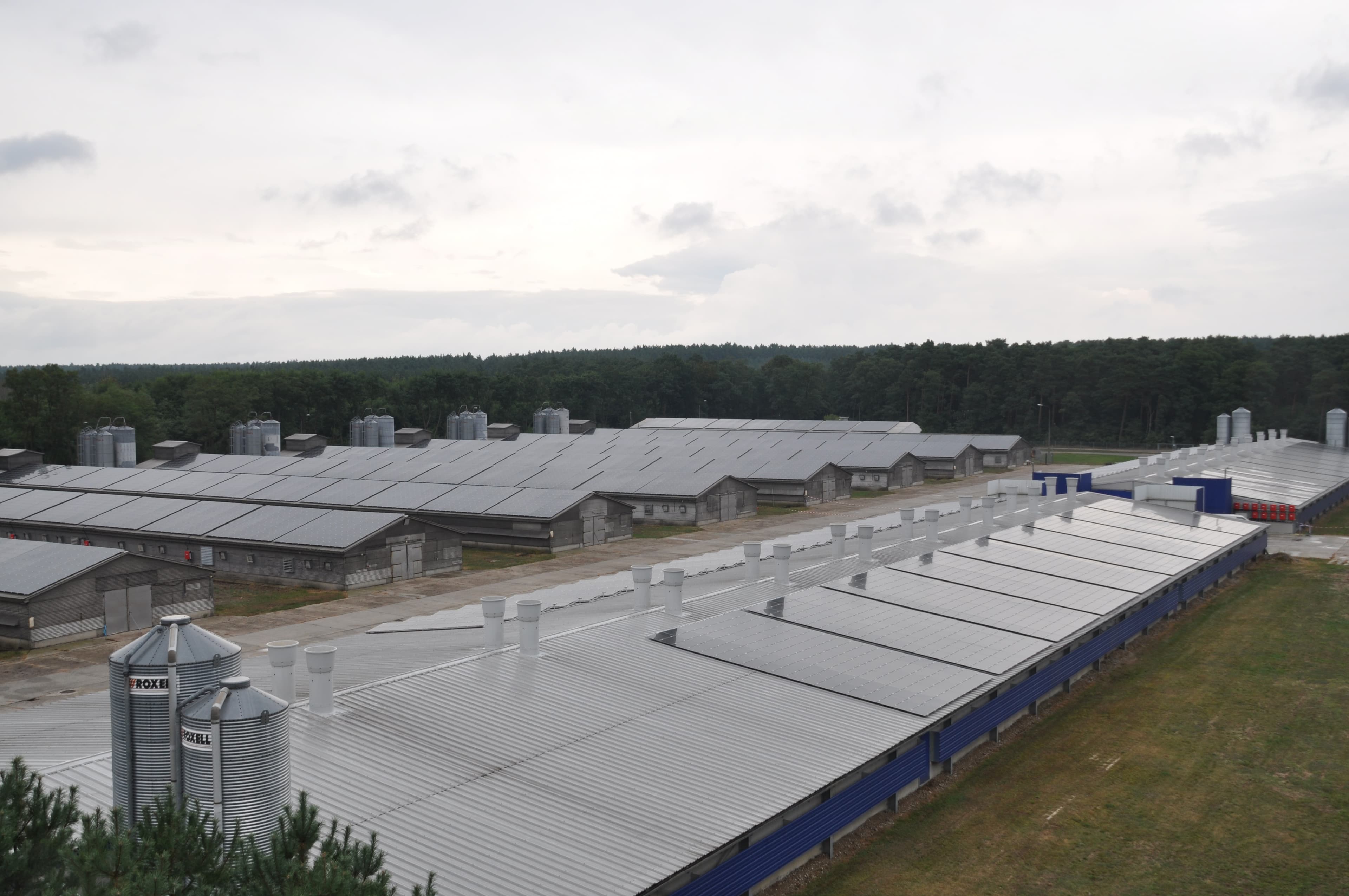 Luftbild der landwirtschaftlichen Betriebsgebäude in Storkow mit PV-belegten Dächern